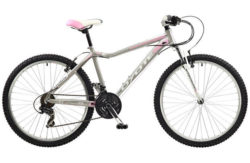 Coyote Clearwater 26 Inch Mountain Bike - Women's